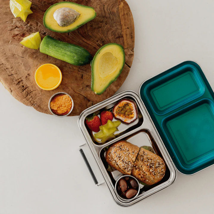 Seed & Sprout MINI Bento Lunch Box - Juniper
