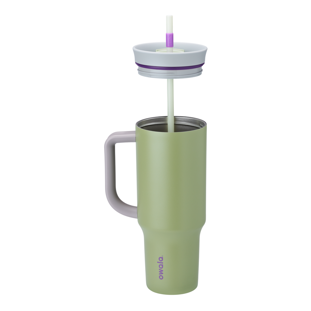 Owala Insulated Stainless Steel Tumbler - 1.185L - Hip Cactus