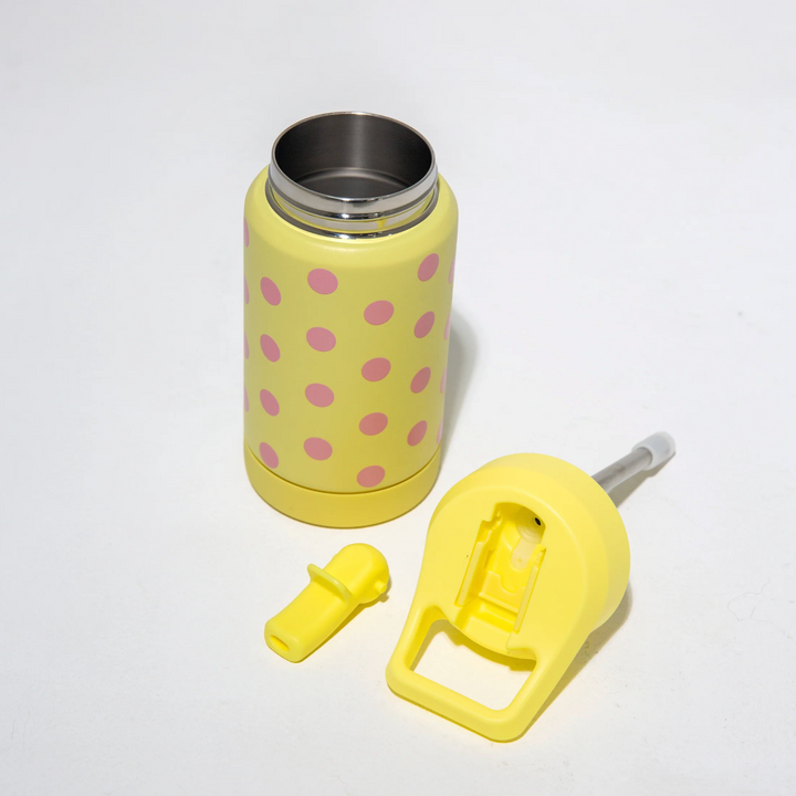 The Zero Waste People Insulated Mini Bottle - Dotti