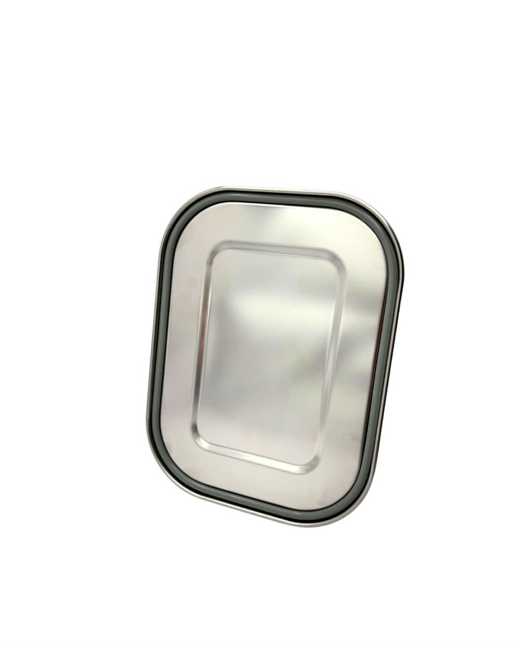 Green Essentials Stainless Steel Leakproof Bento Box with Divider