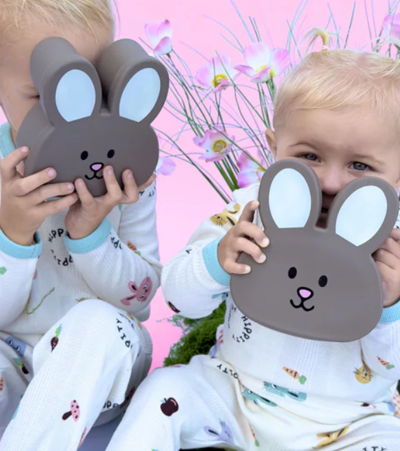 PRE-ORDER The Zero Waste People Silicone Bunny Container - Chocolate
