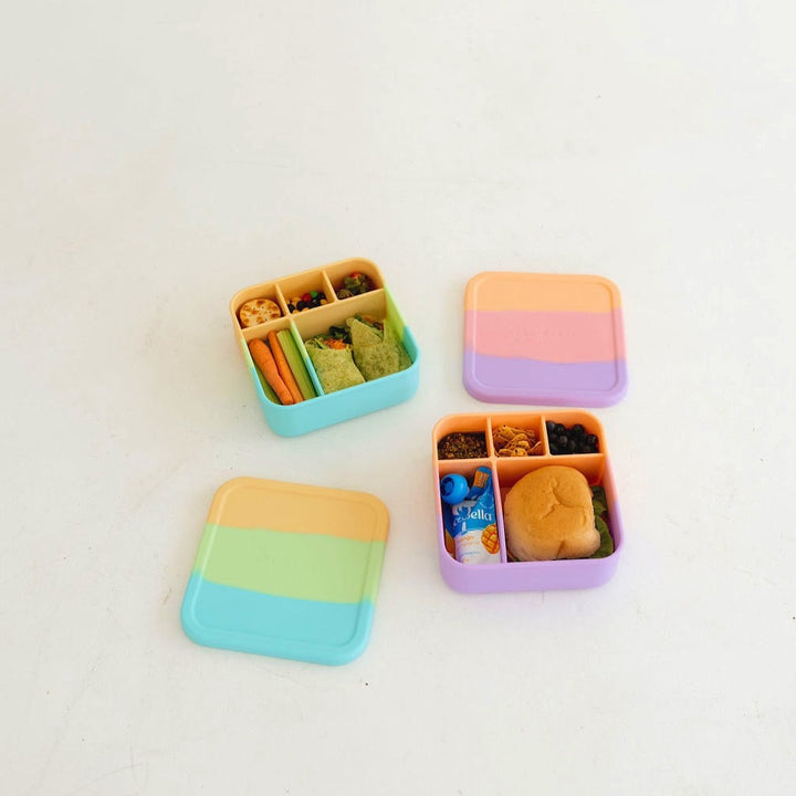 Silicone BIG Bento Lunch Box - Splice