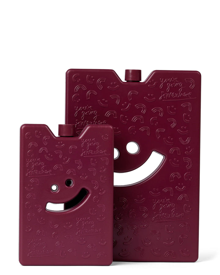 The Somewhere Co Ice Brick LARGE - Burgundy