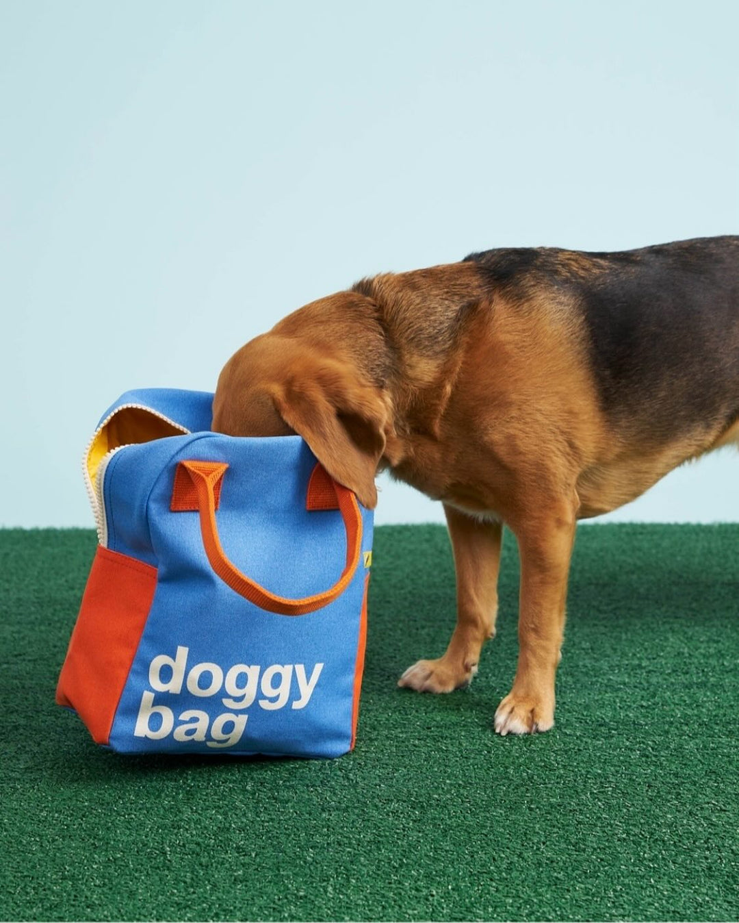 Fluf Zipper Lunch Bag - Doggy Bag