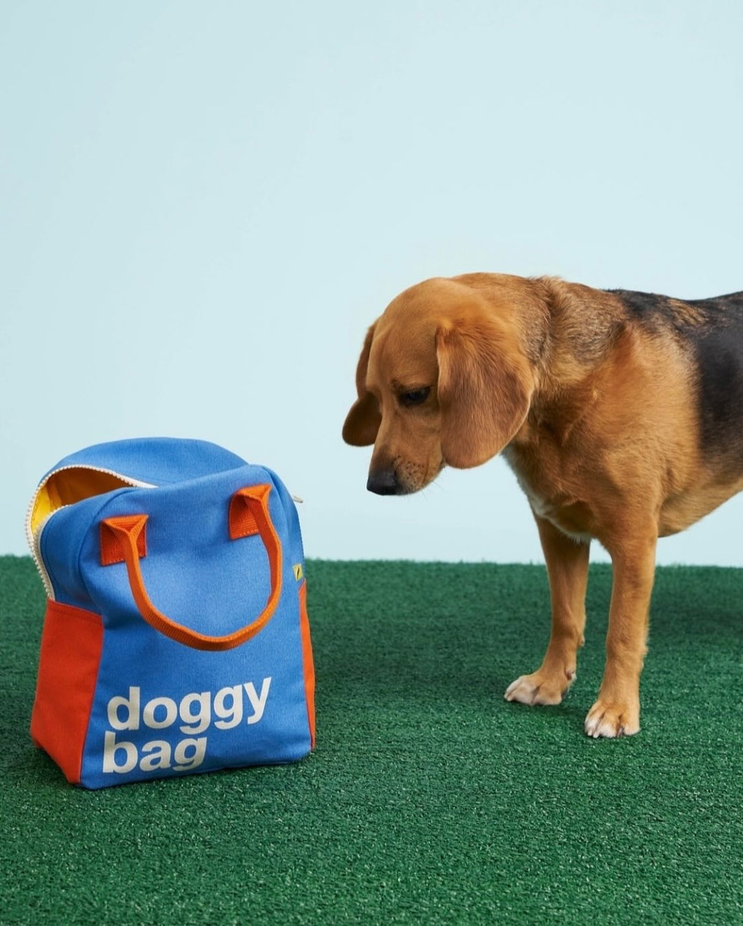 Fluf Zipper Lunch Bag - Doggy Bag