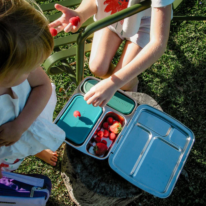 Seed & Sprout CrunchBox Stainless Steel Bento Box