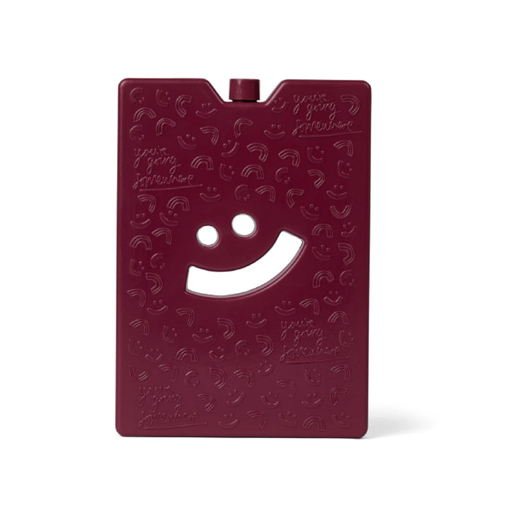 The Somewhere Co Ice Brick LARGE - Burgundy