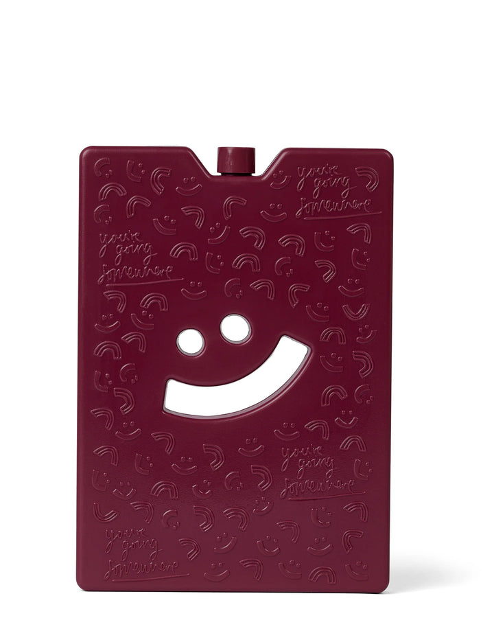 The Somewhere Co Ice Brick LARGE - Burgundy