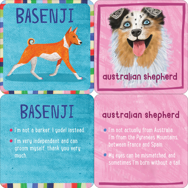 Lunch Box Note Cards - All The Dogs