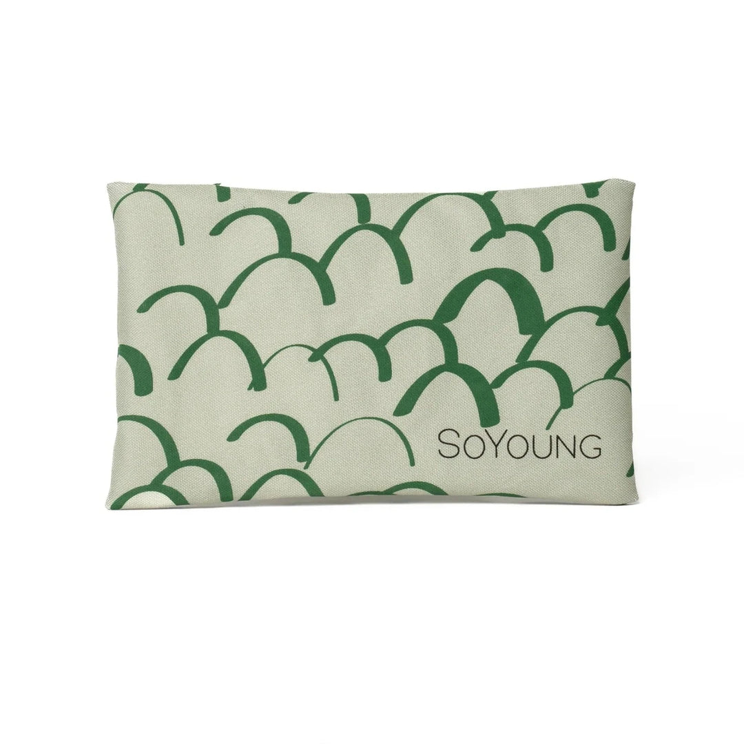 SoYoung Backpack, Lunch Bag & Ice Brick Bundle  - Dino Scales