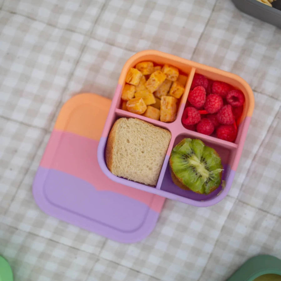 Silicone Bento Snack Box - Paddle Pop