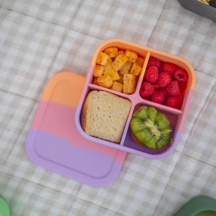 Silicone Bento Snack Box - Paddle Pop