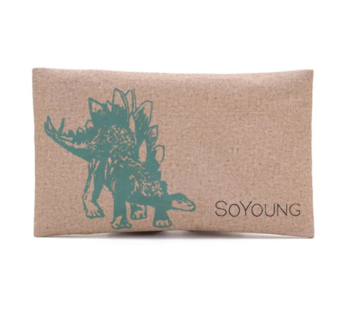 SoYoung Backpack, Lunch Bag & Ice Brick Bundle  - Green Stegosaurus