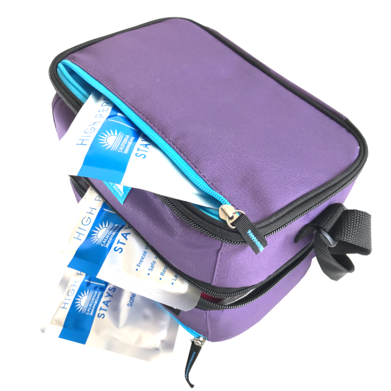 Arctic Zone Dual Layer Insulated Bag - Purple