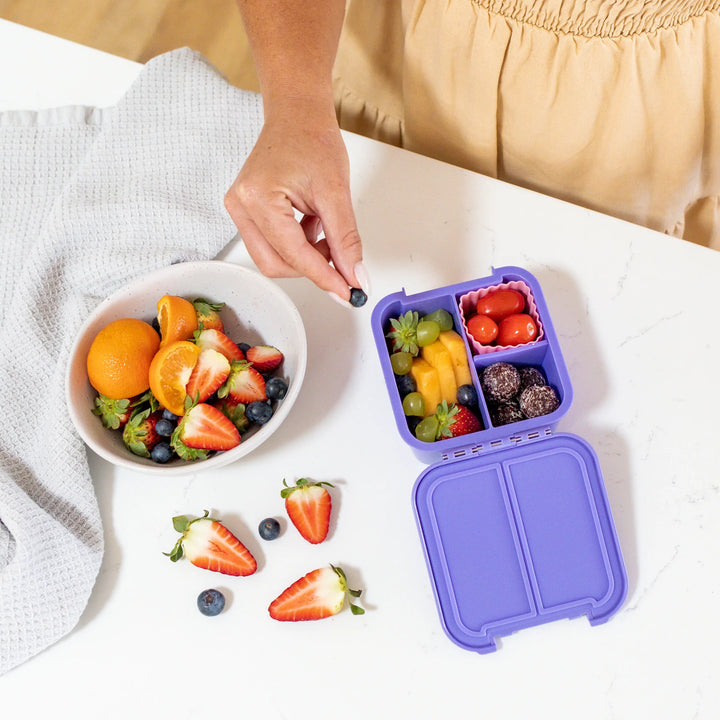 Little Lunch Box Co Bento Two - Grape