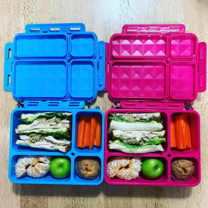 Go Green Lunch Box PINK - Medium