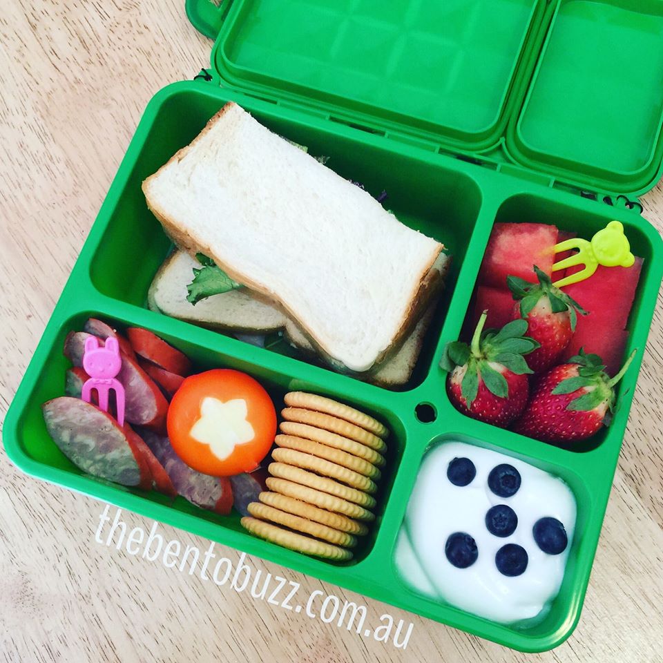 Go Green Lunch Box Bundle - MEDIUM