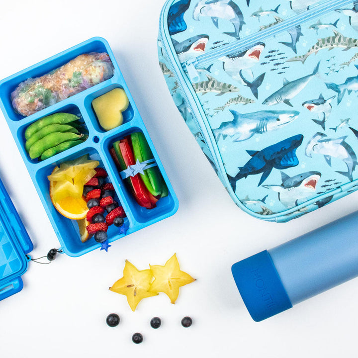 Go Green Lunch Box BLUE - Small